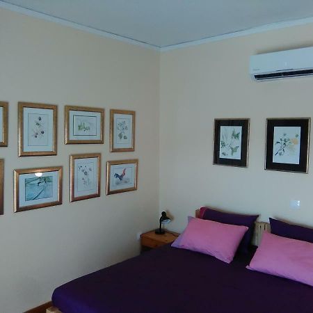 Ferienwohnung Mia'S Atelier, Balcony To Acropolis Athen Exterior foto